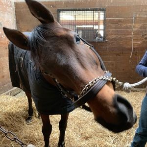 Meet your Posher, Crystal